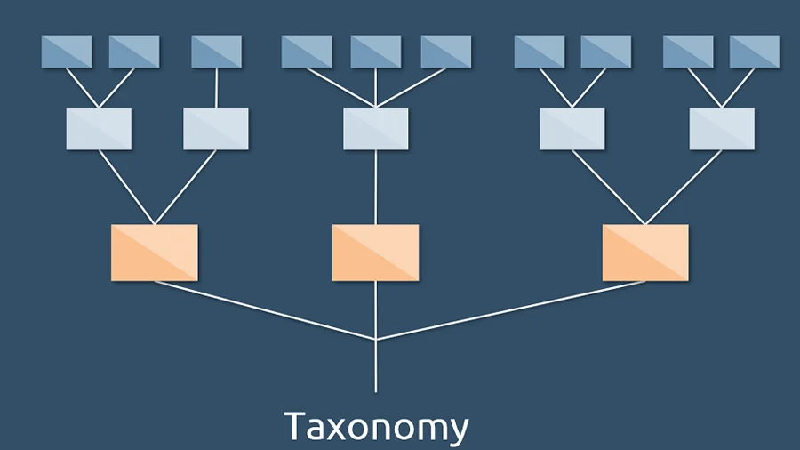 Google Taxonomy Nedir ve Nasıl Kullanılır?